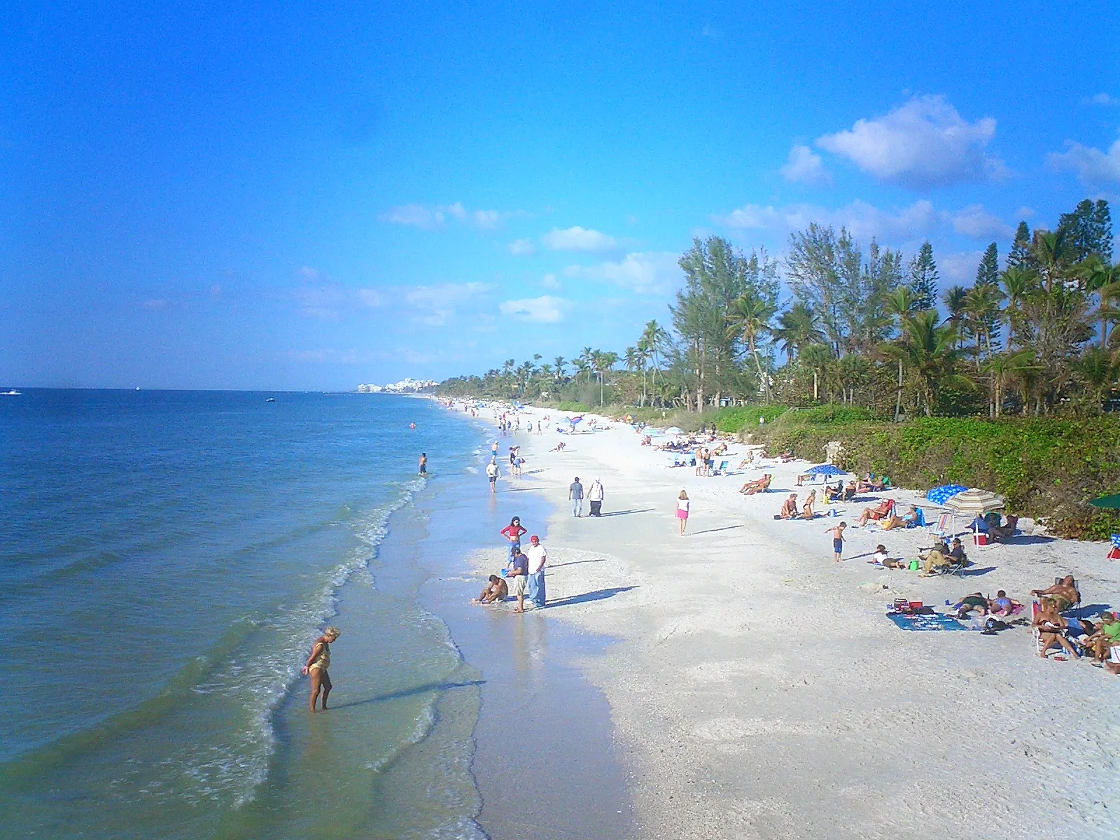 A sandy Naples beach with calm Gulf water and palms