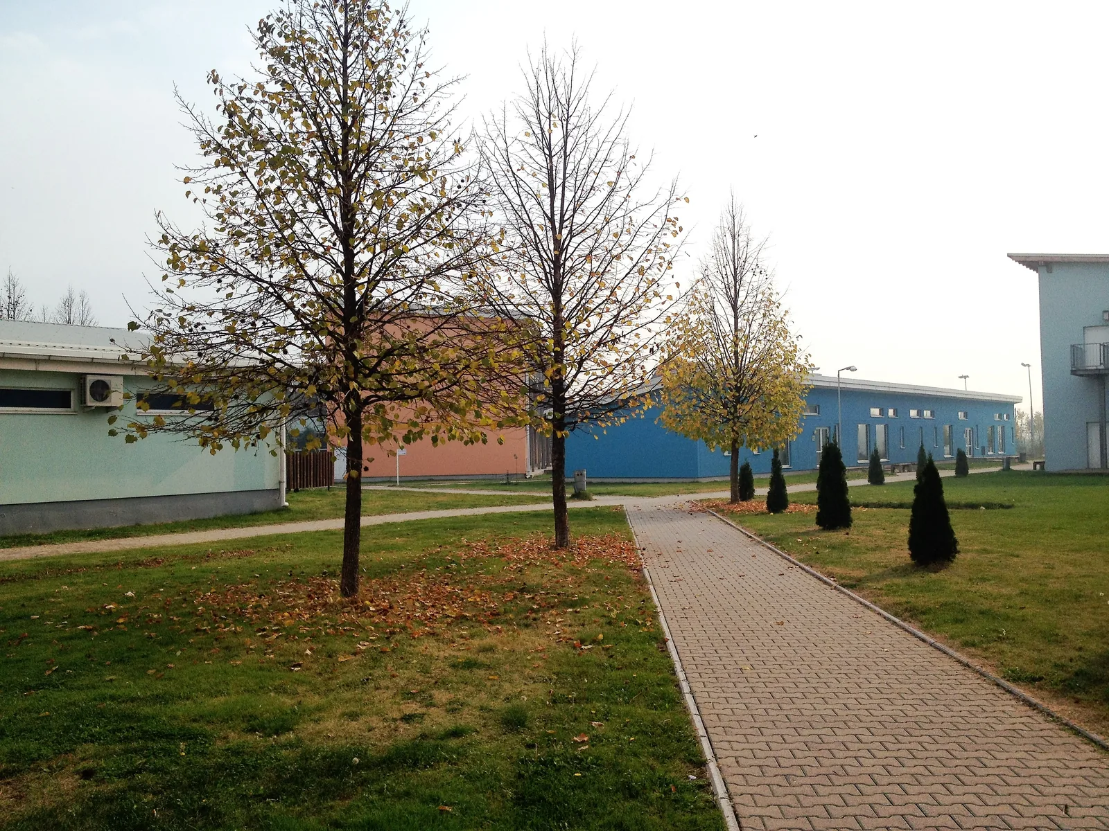 Sydosteuropeiska universitetets campus i Tetovo på hösten