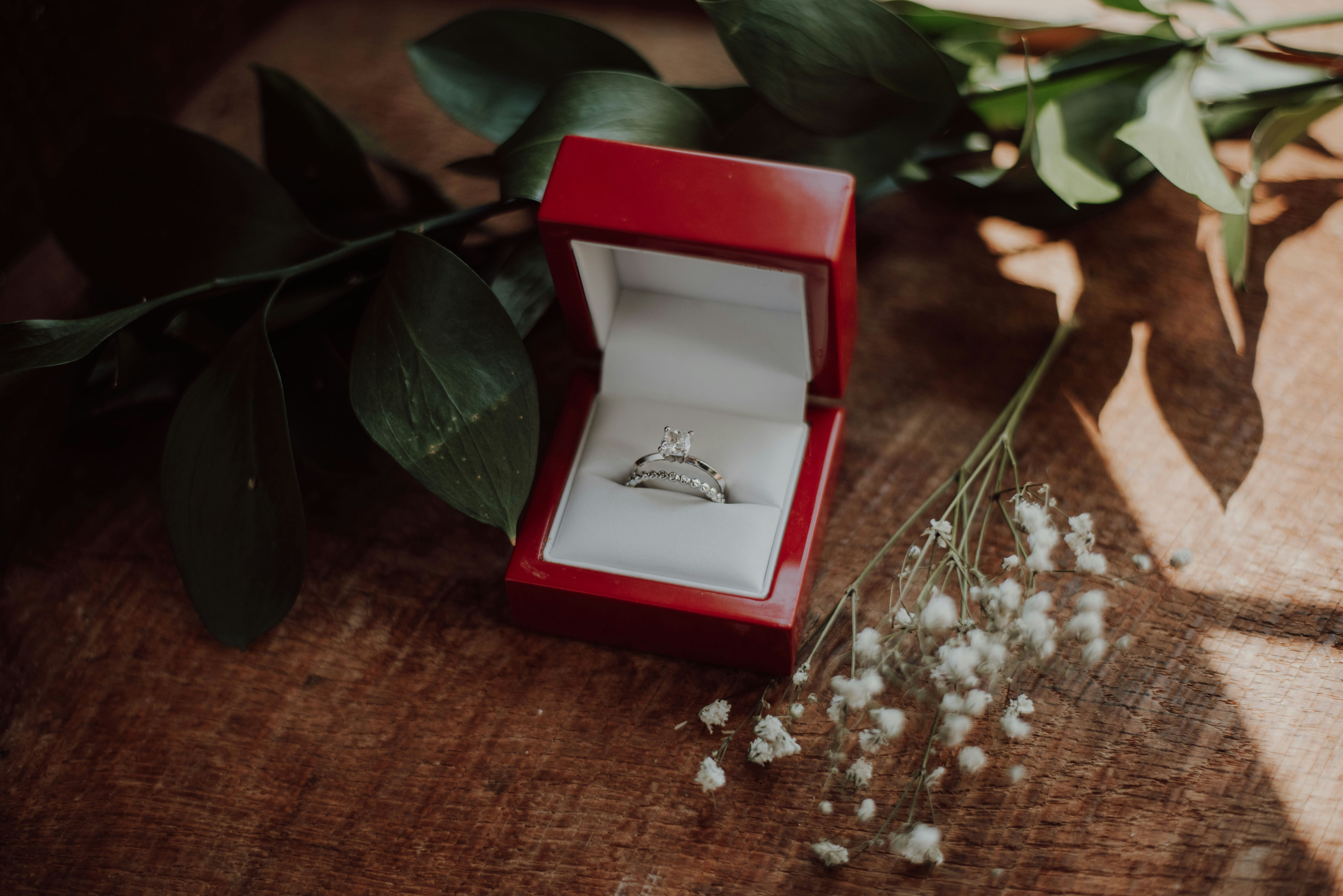 Katelyn Macmillan X1504kwztni Unsplash